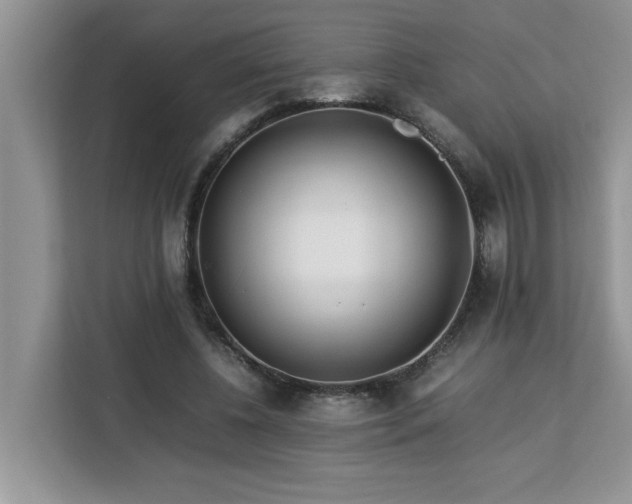 X0000113070540200908281156