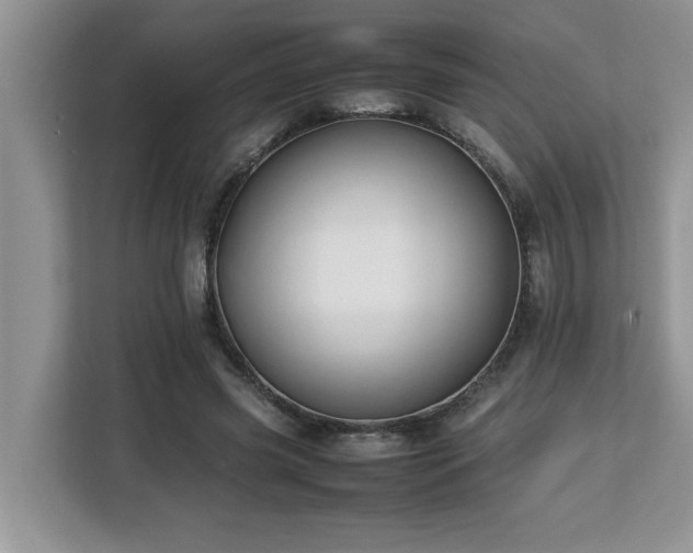 X0000113070541200908281156