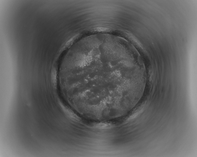X0000113070542200908281156