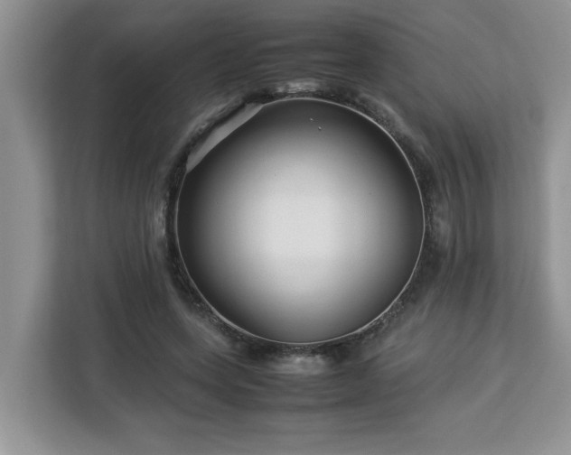 X0000113070543200908281156