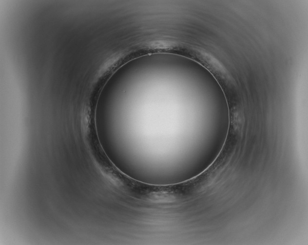 X0000113070544200908281156