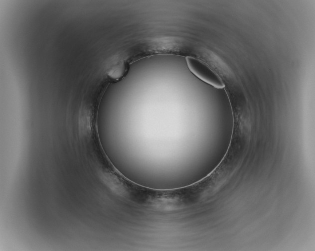 X0000113070546200908281156
