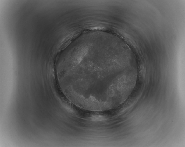 X0000113070547200908281156