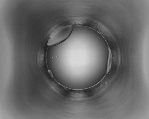 X0000113070548200908281156