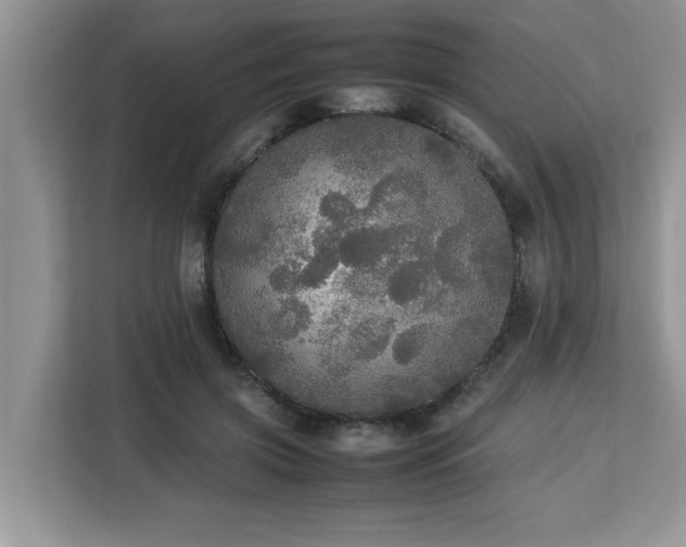 X0000113070549200908281156