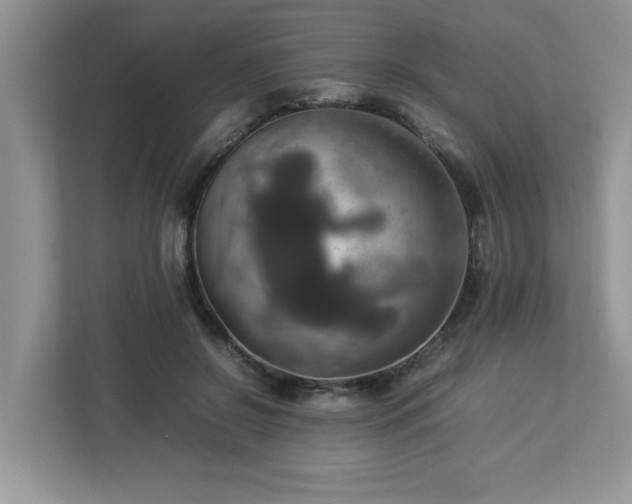 X0000113070550200908281156