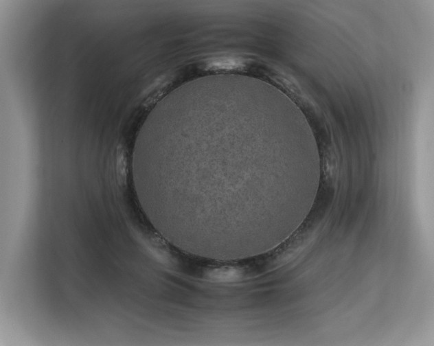X0000113070551200908281156