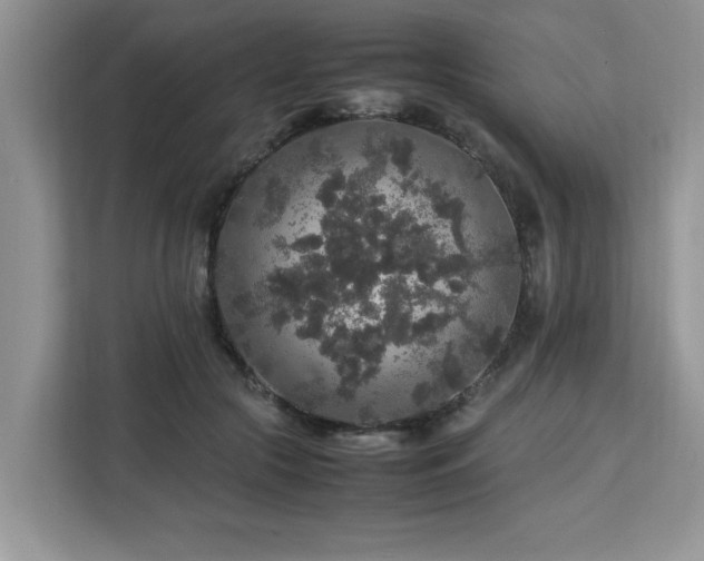 X0000113070553200908281156