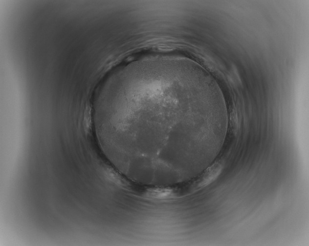 X0000113070554200908281156
