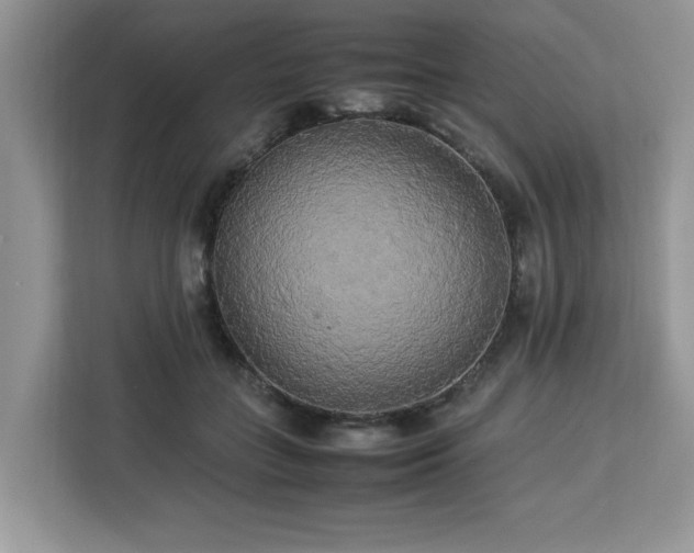 X0000113070555200908281156