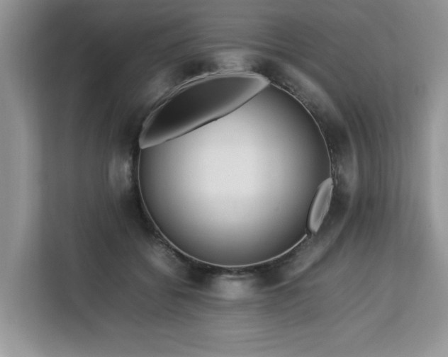 X0000113070556200908281156