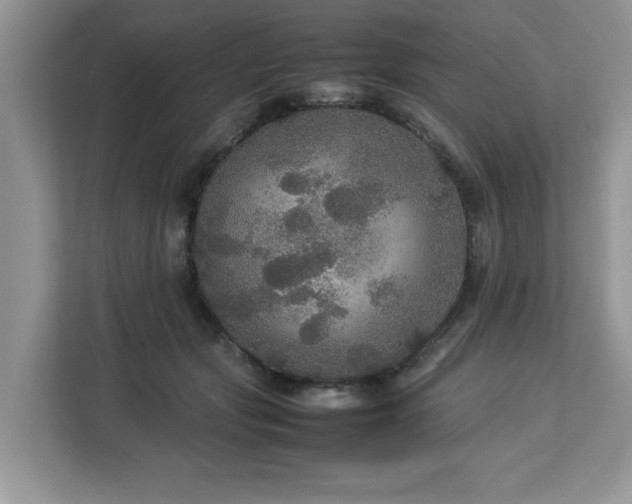 X0000113070557200908281156