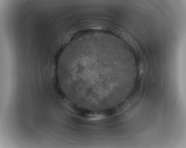 X0000113070559200908281156
