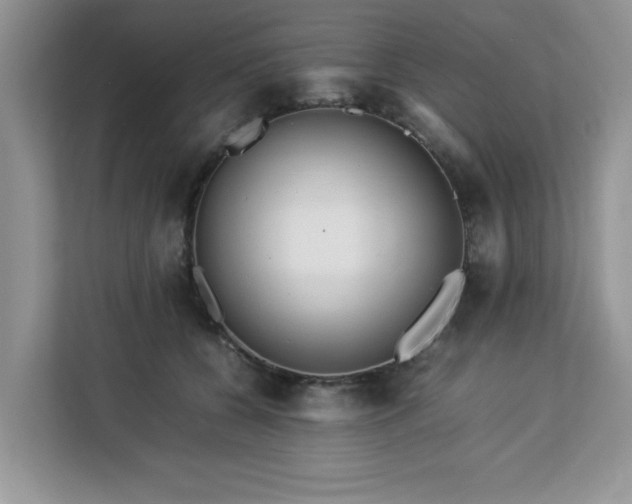 X0000113070560200908281156