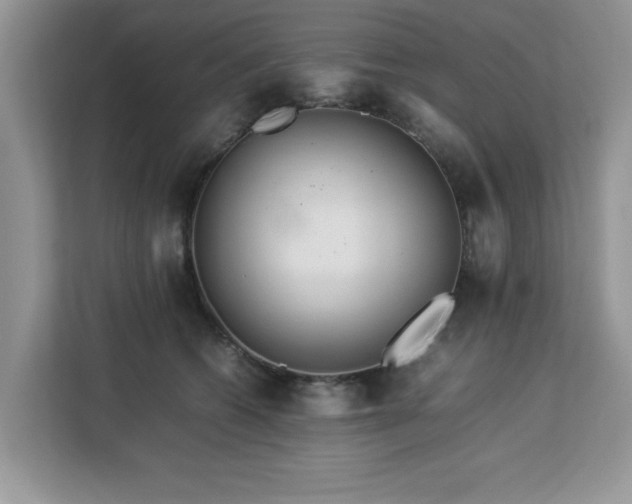 X0000113070562200908281156