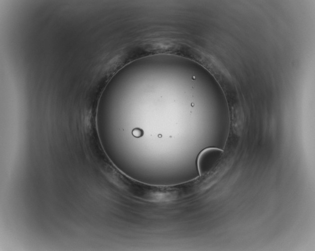X0000113070563200908281156