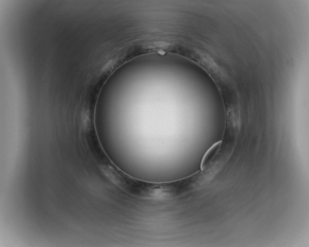 X0000113070564200908281156