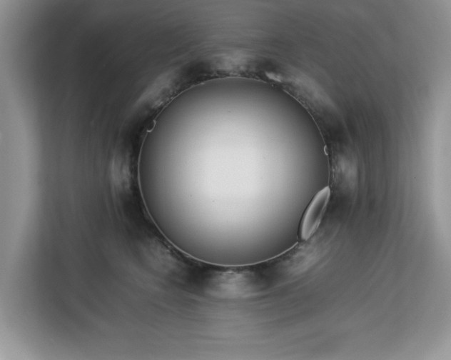 X0000113070566200908281156