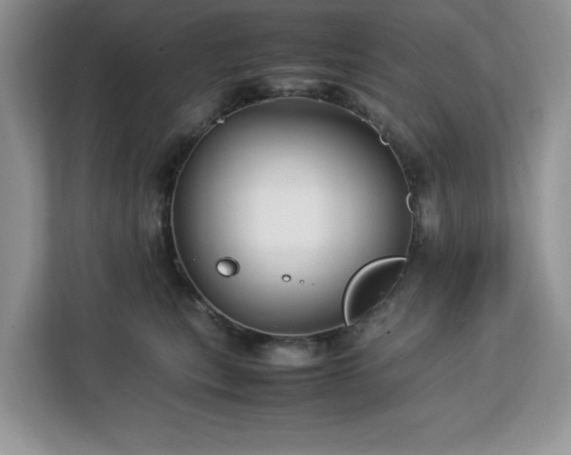 X0000113070567200908281156