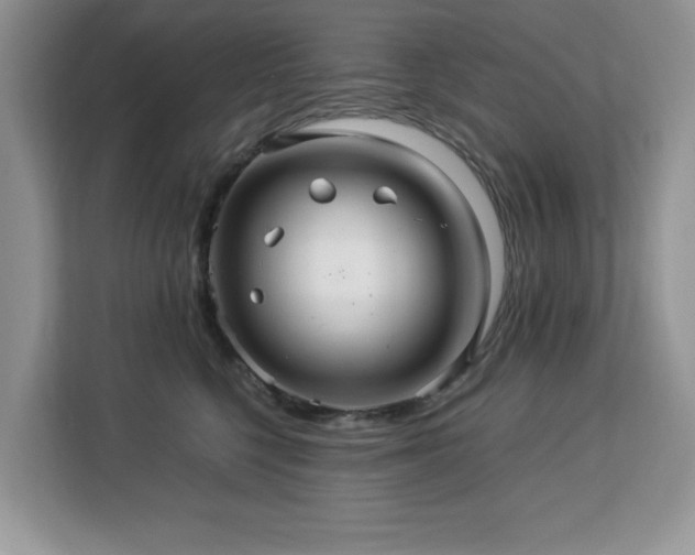 X0000113070568200908281156