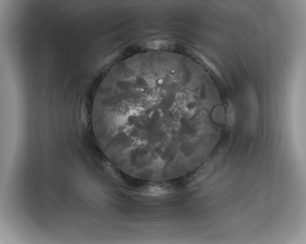 X0000113070569200908281156
