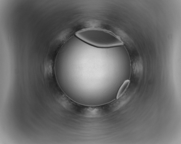 X0000113070570200908281156