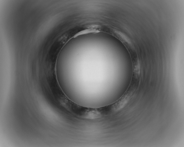 X0000113070572200908281156
