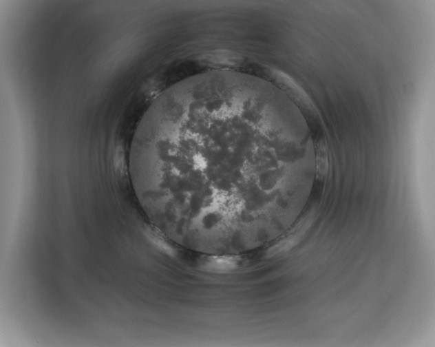 X0000113070573200908281157
