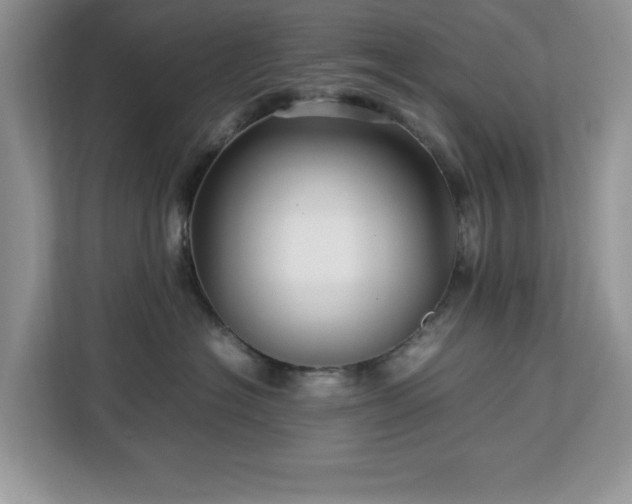 X0000113070574200908281157