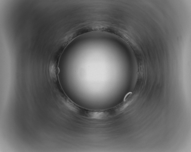 X0000113070575200908281157