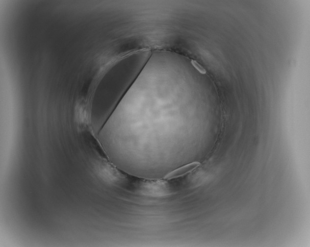X0000113070576200908281157