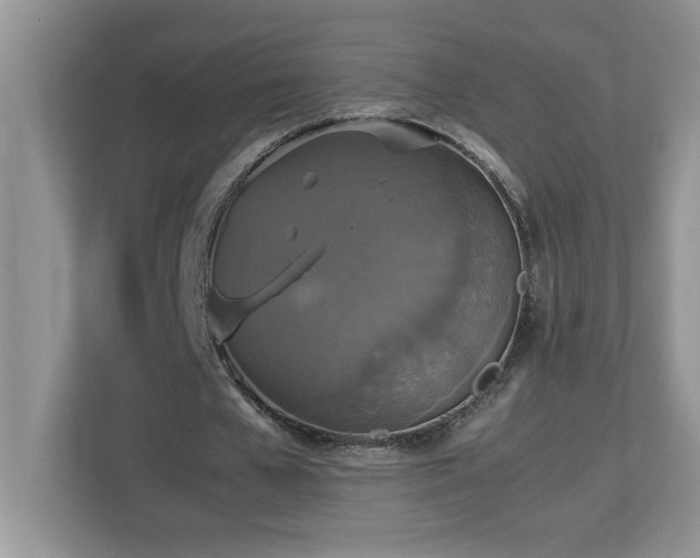 X0000113070577200908281156