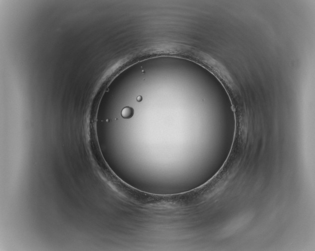 X0000113070578200908281156