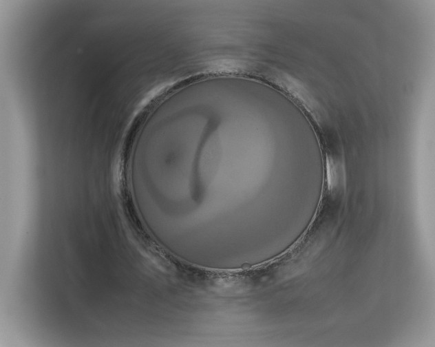 X0000113070579200908281156