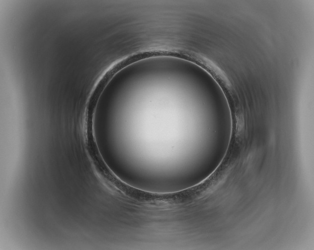 X0000113070580200908281156