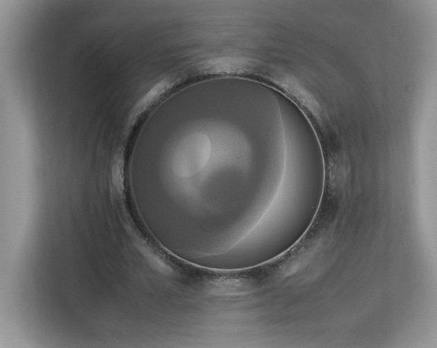 X0000113070581200908281156