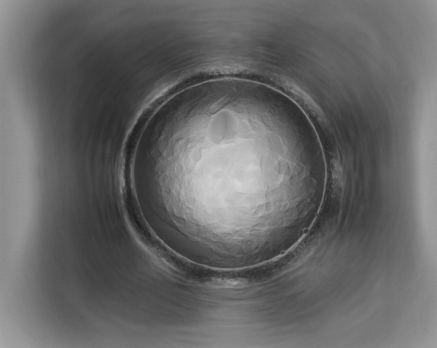 X0000113070582200908281156