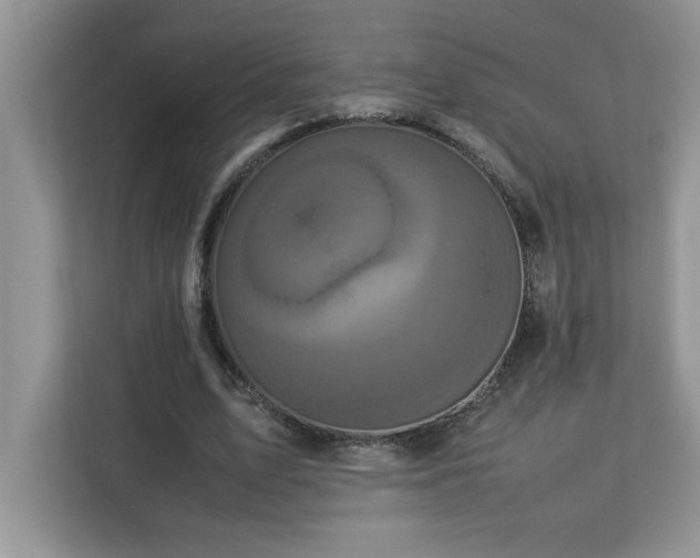 X0000113070583200908281156