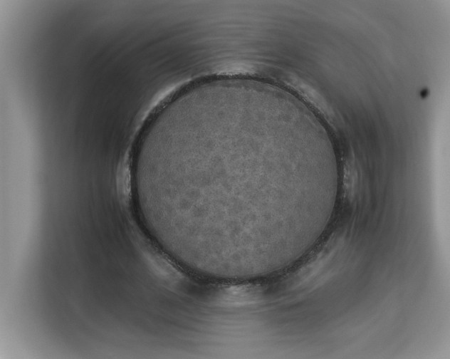 X0000113070584200908281156
