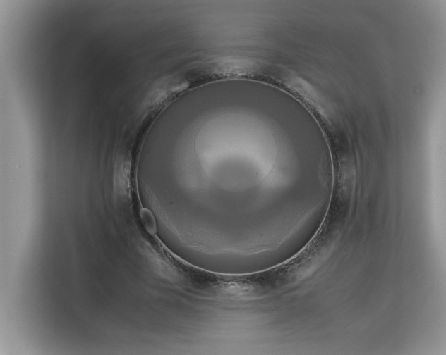 X0000113070585200908281156