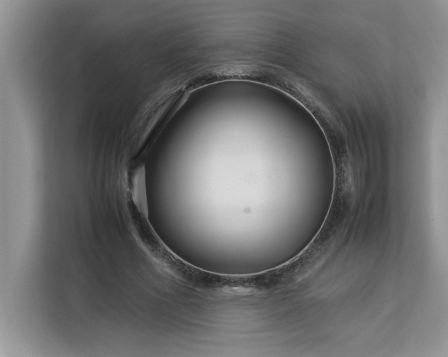 X0000113070586200908281156