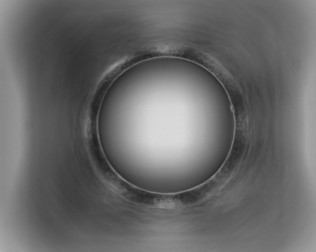 X0000113070587200908281156