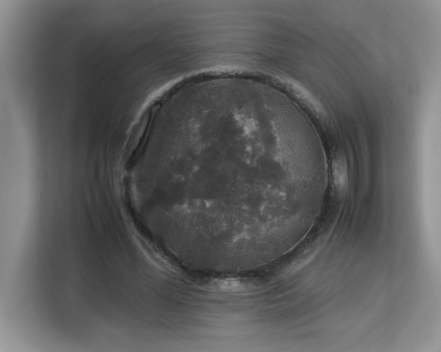 X0000113070588200908281156