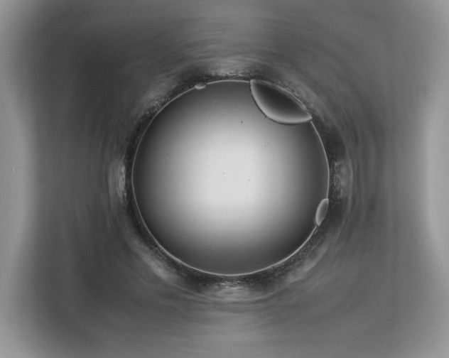 X0000113070589200908281156