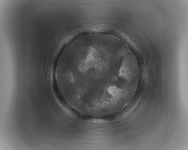 X0000113070590200908281156