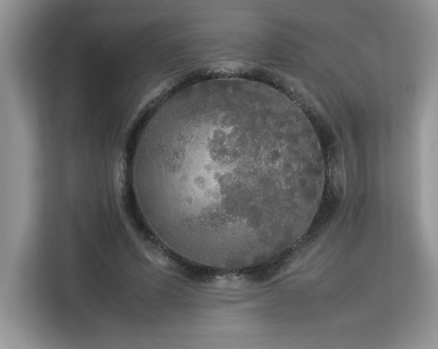 X0000113070591200908281156