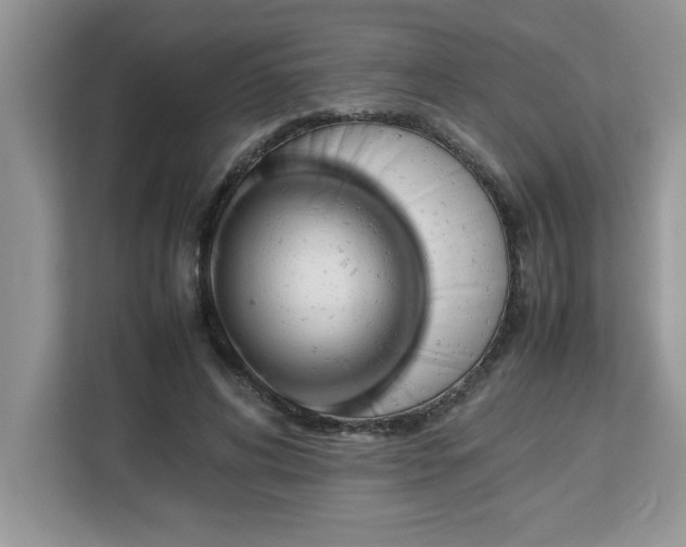 X0000113070592200908281156