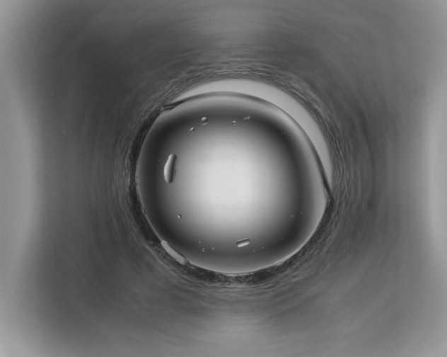 X0000113070593200908281156