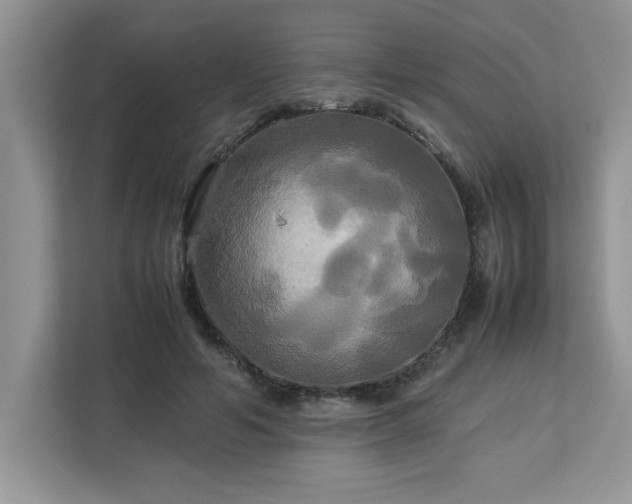 X0000113070594200908281156