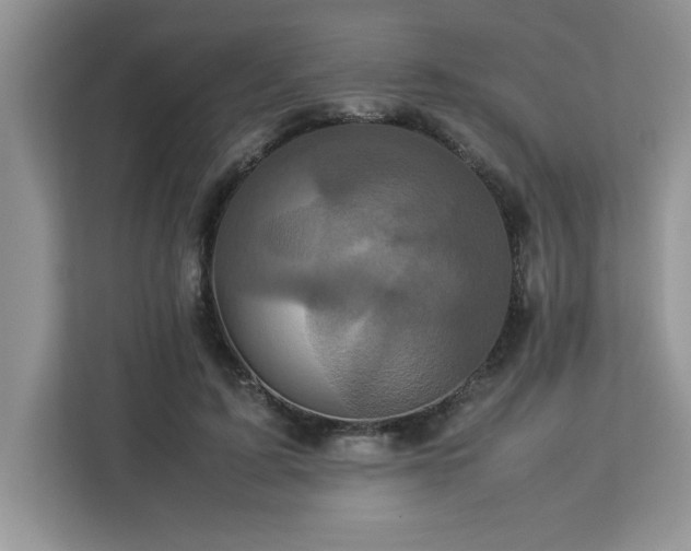 X0000113070595200908281156